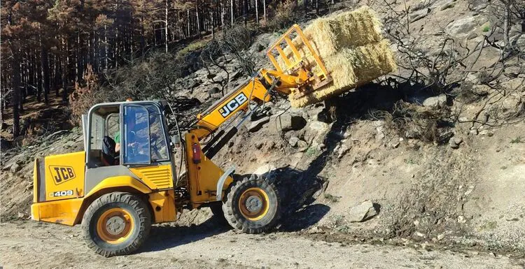 ACTUACION DE RESTAURACION DE MONTES TRAS LOS INCENDIOS FORESTALES