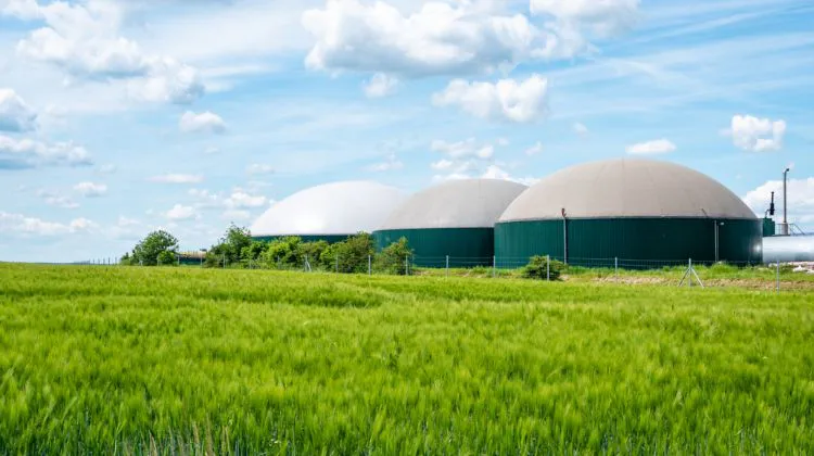 PLANTA DE BIOGAS