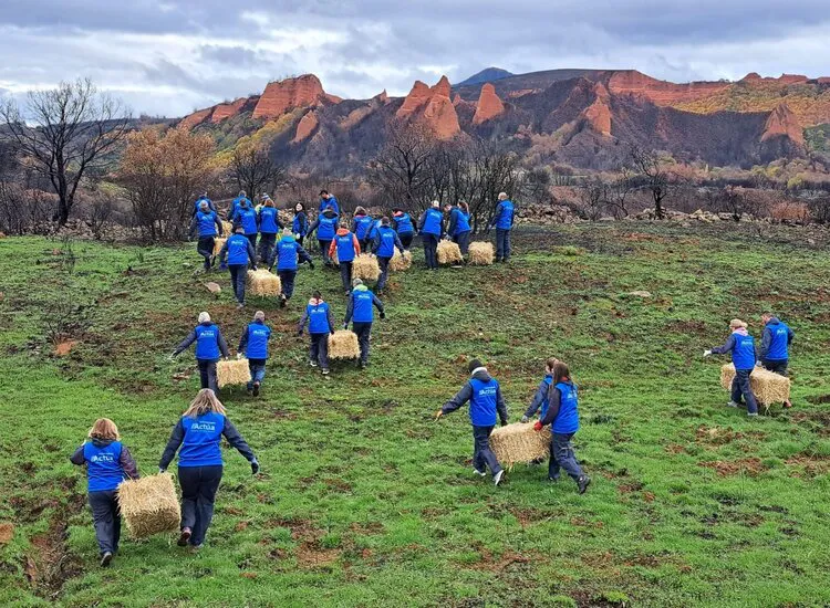 VOLUNTARIOS TRABAJANDO EN LA PROTECCION DE LOS SUELOS QUEMADOS EN LAS MEDULAS