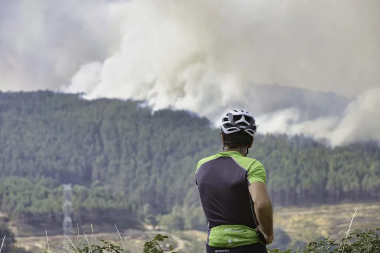 INCENDIOS EN LEON
