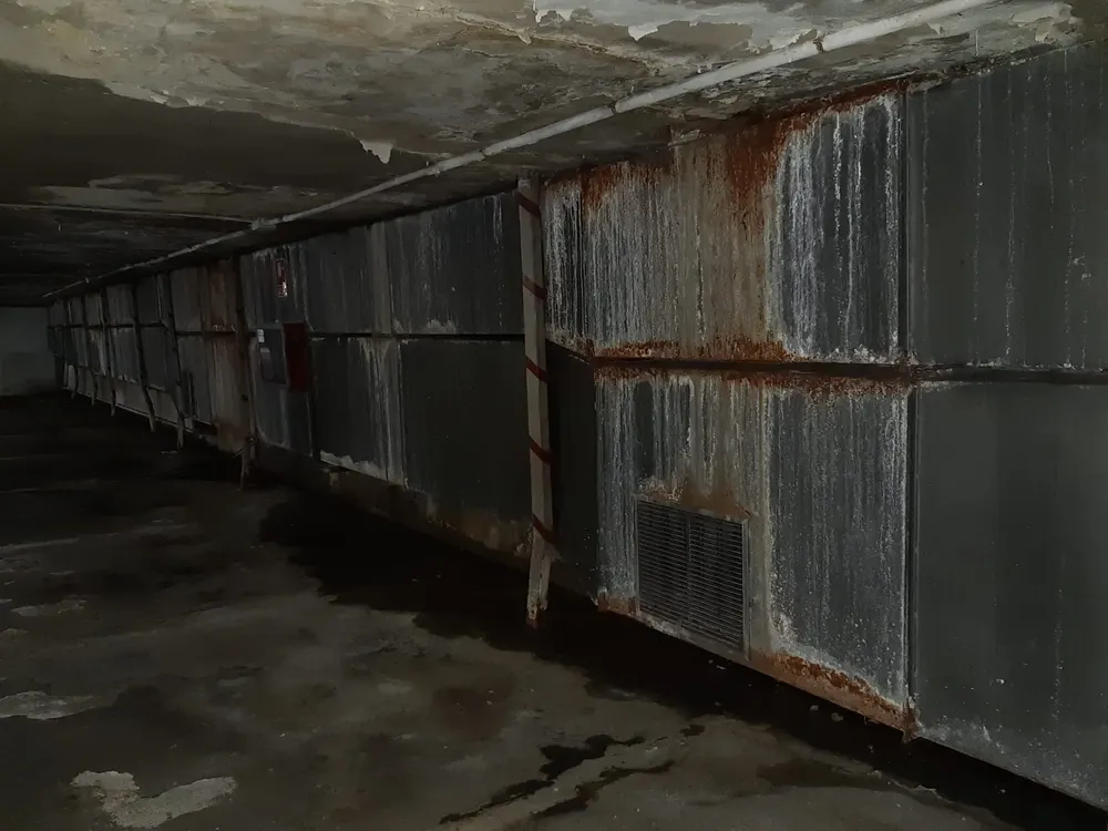 WhatsApp Image 2024-01-22 at 19.49.50 (1)