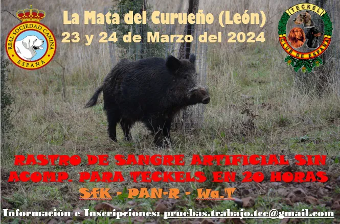 20240323cartel