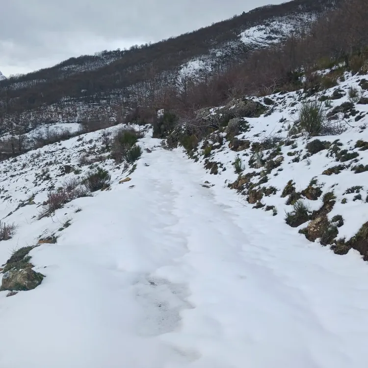 92907329-b0de-47d8-9901-958aef0467b3