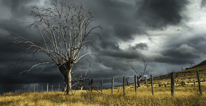 TORMENTA