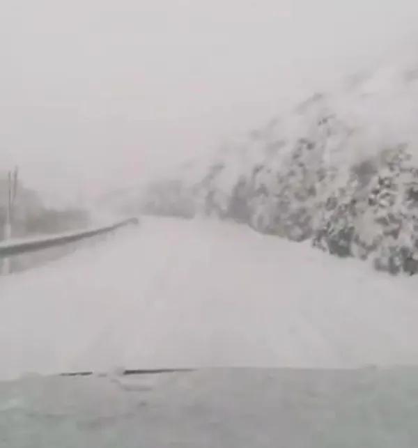 NEVADA 29 ENERO 2025