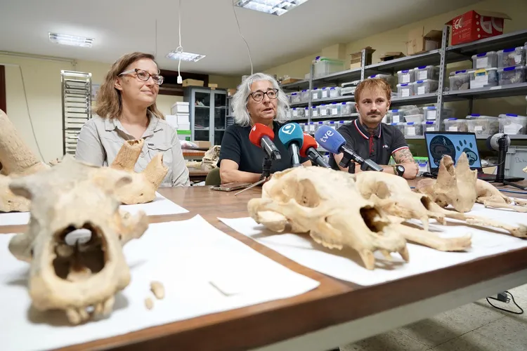 INVESTIGADORES DE LA ULE Y DEL MUSEO DE CIENCIAS NATURALES