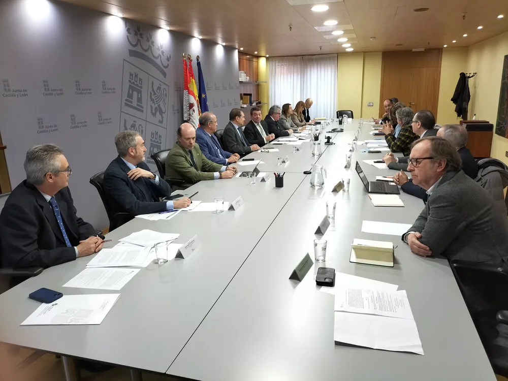 Consejo+de+Cooperación+Local-min