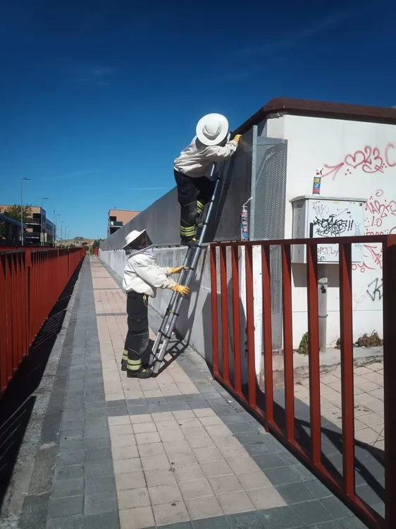 fotonoticia_20240616200617_1920