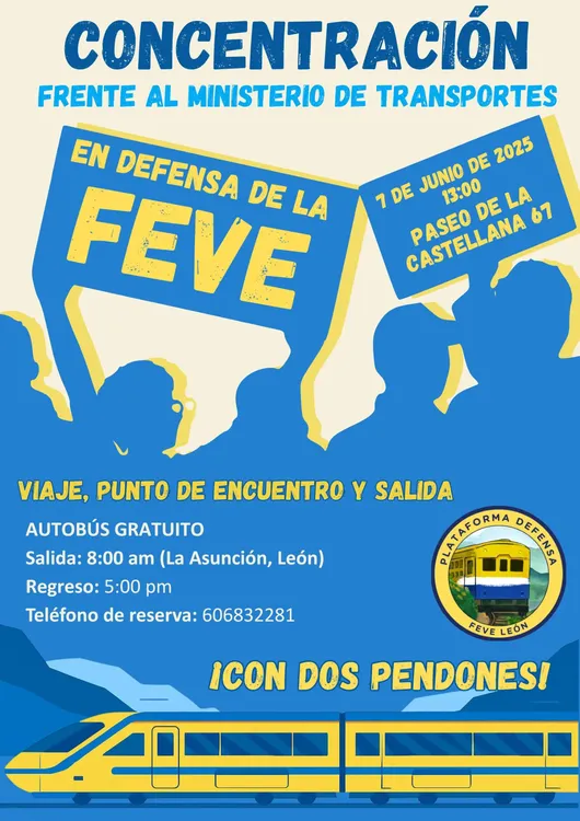 MANIFESTACION FEVE EN MADRID