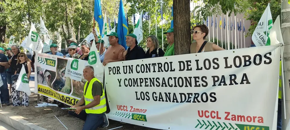 Unión de Uniones pide a la UE una Directiva Europea para la protección frente al lobo y amenaza con tractoradas. - EUROPA PRESS
