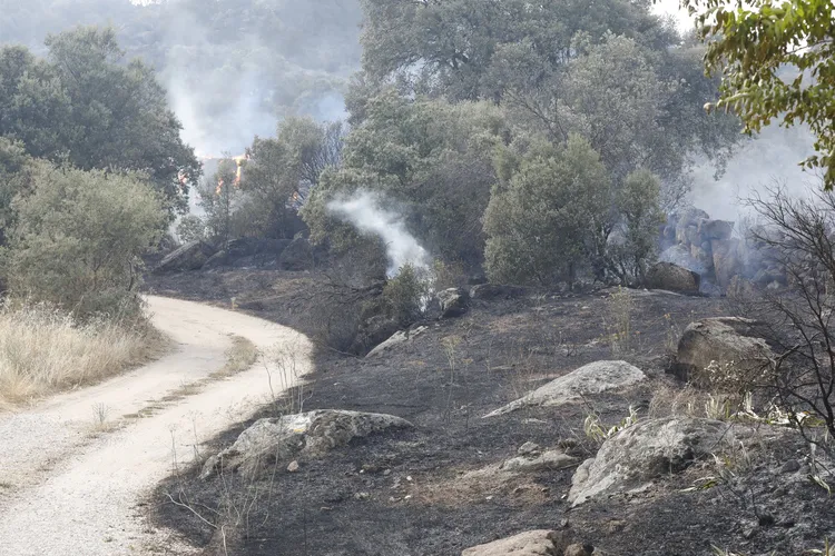 INCENDIO EN NAVALUENGA