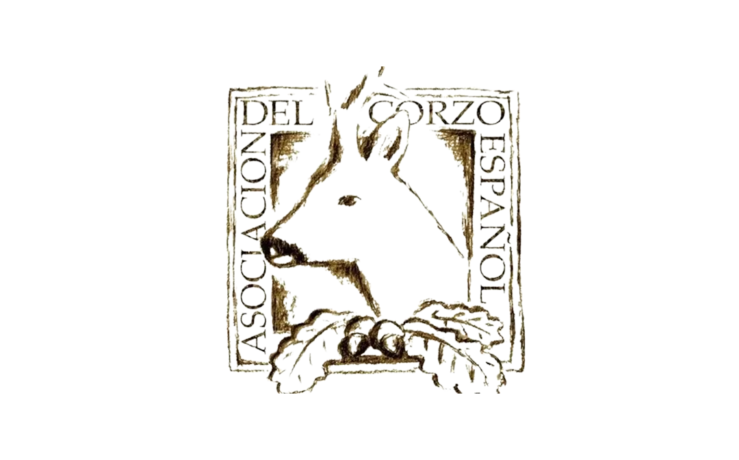 ASOCIACION DEL CORZO ESPAÑOL
