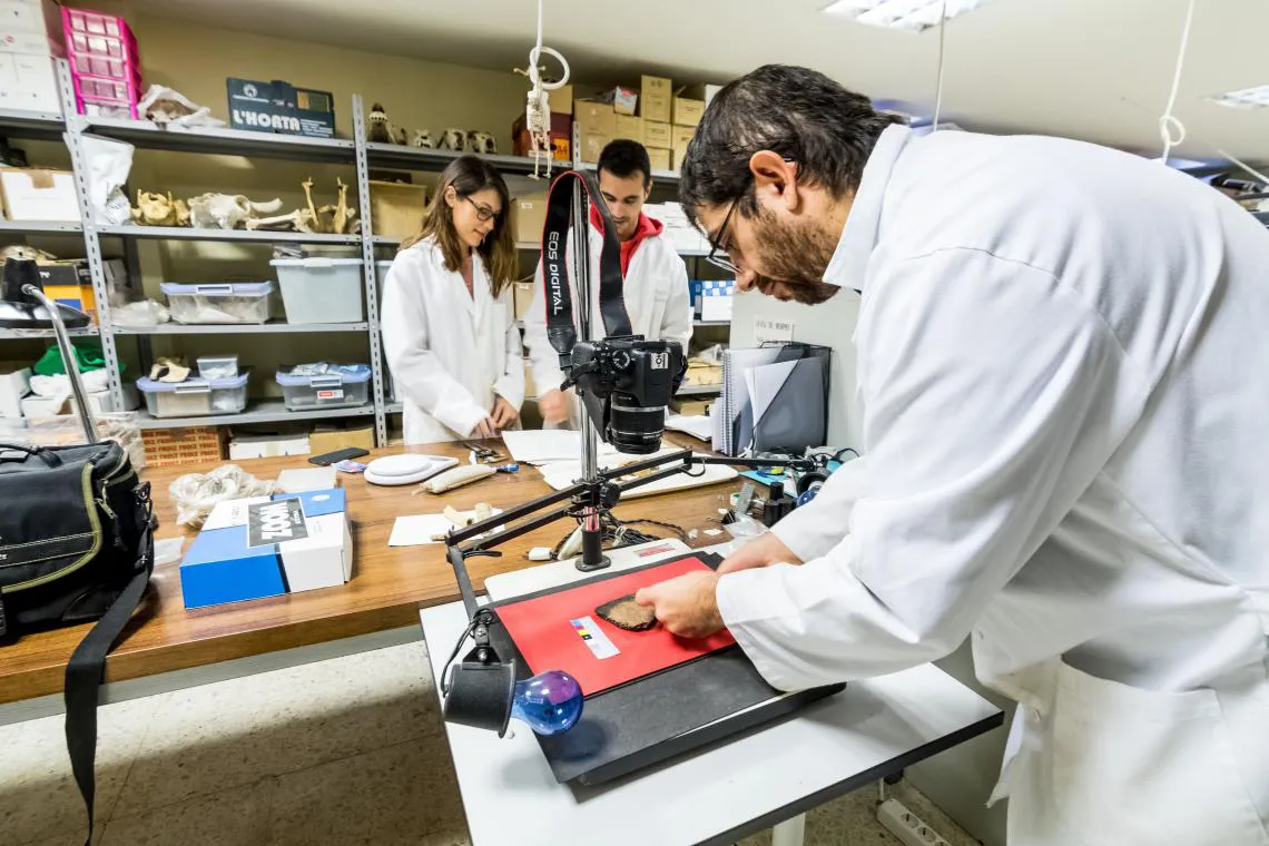 investigacion ULE