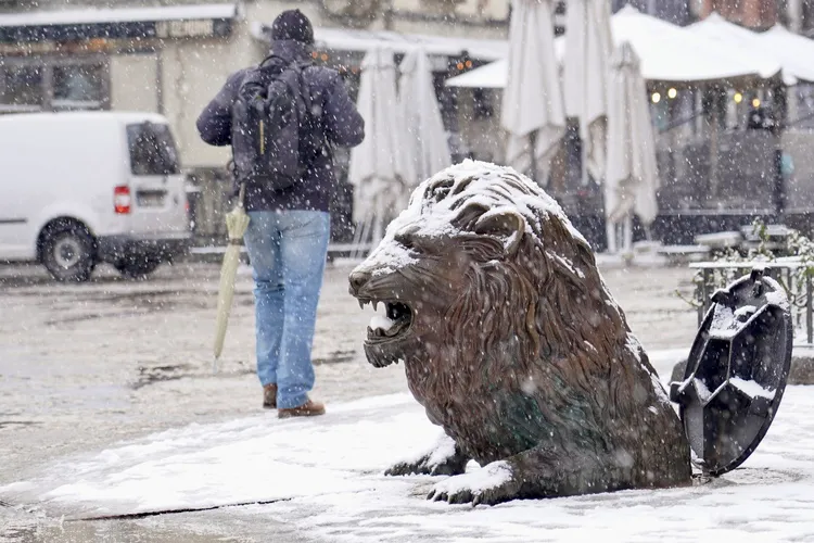 LEON VIERNES 23 DE ENERO