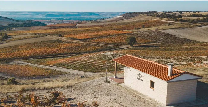BODEGAS EMILIO MORO