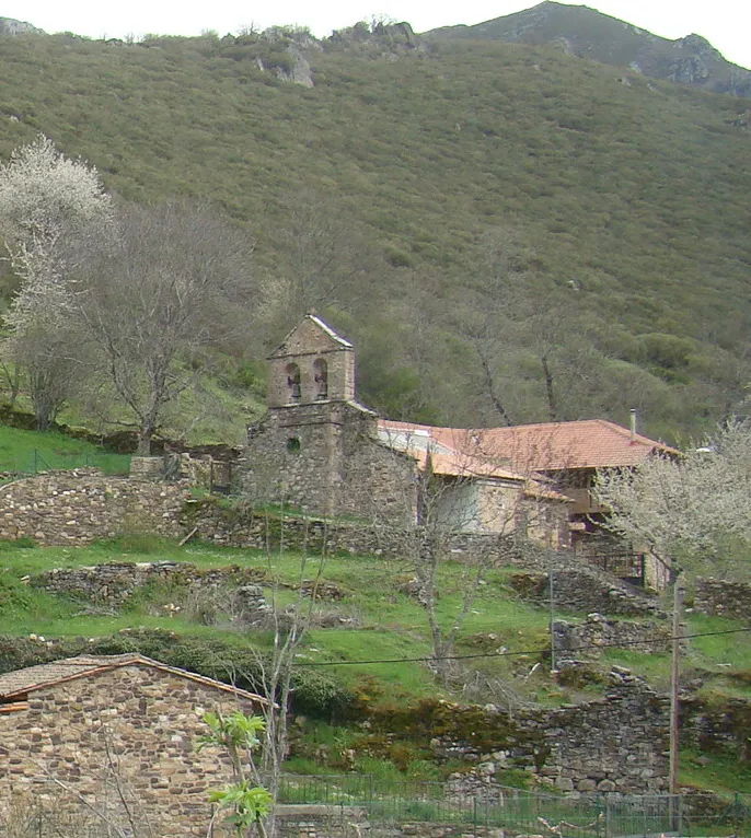 RODILLAZO