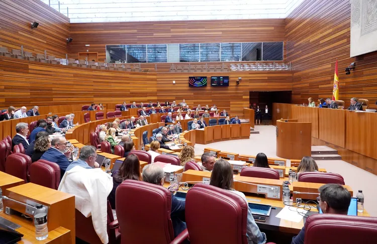 PLENO DE LAS CORTES DE CYL