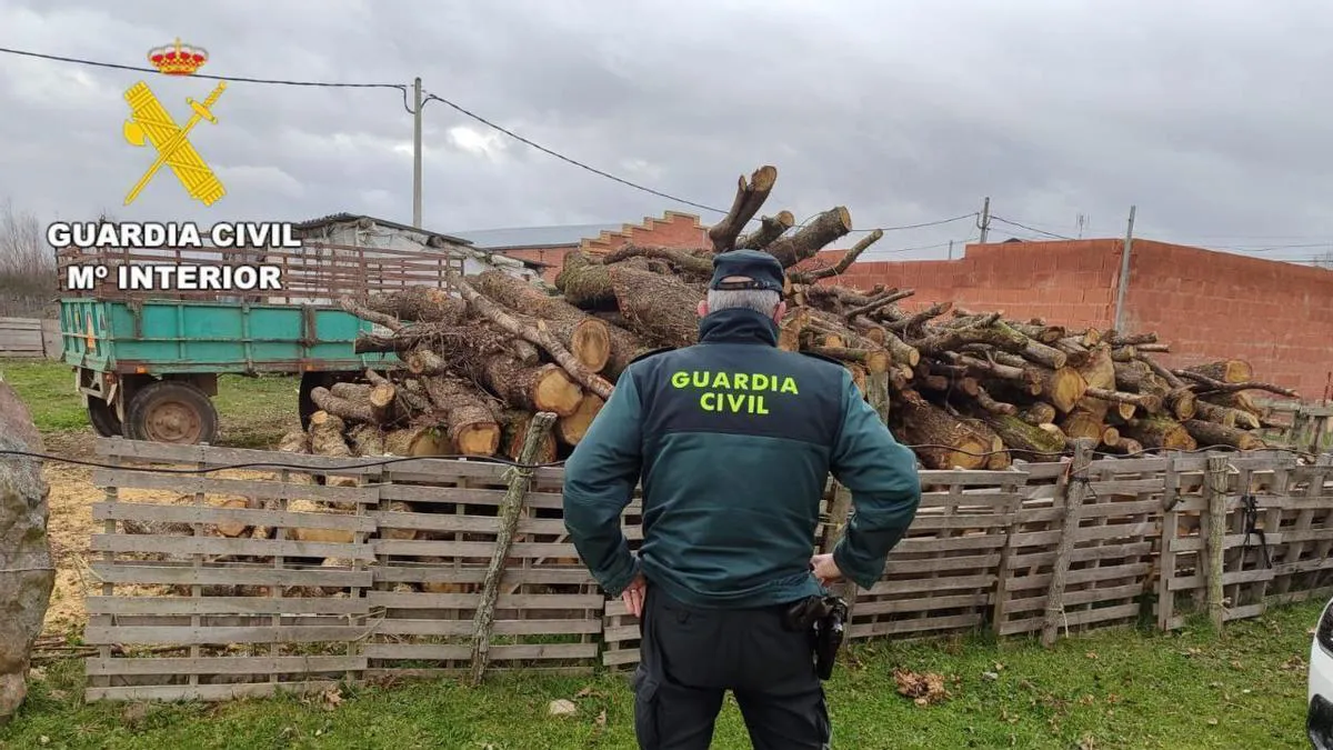 ROBO DE MATERIAL AGRICOLA EN BENAVIDES DE ORBIGO