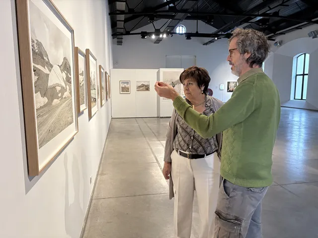 Expositivos