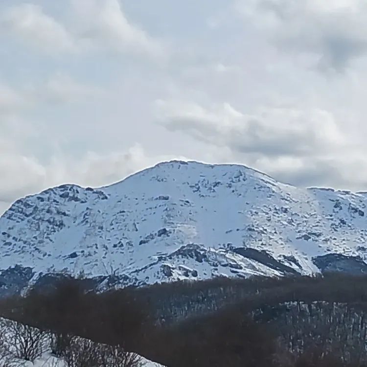 87f855e1-0516-4fc5-9777-f2b8a625bd47