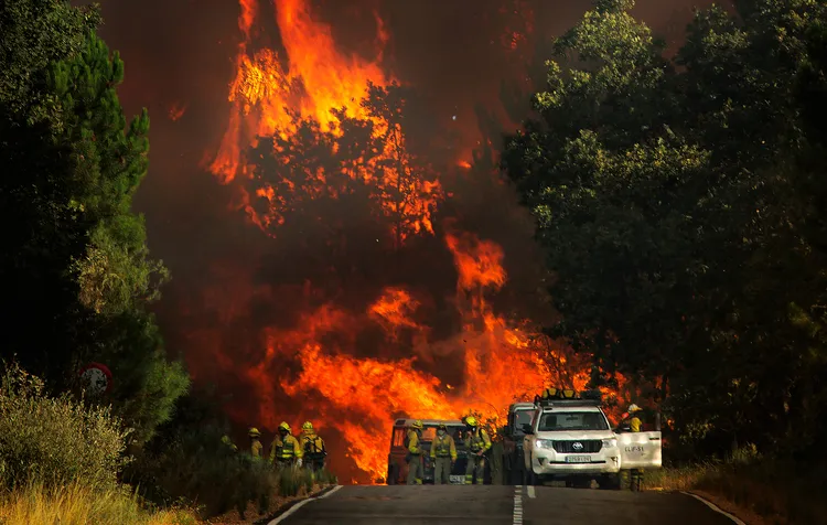 INCENDIO FORESTAL EN CYL