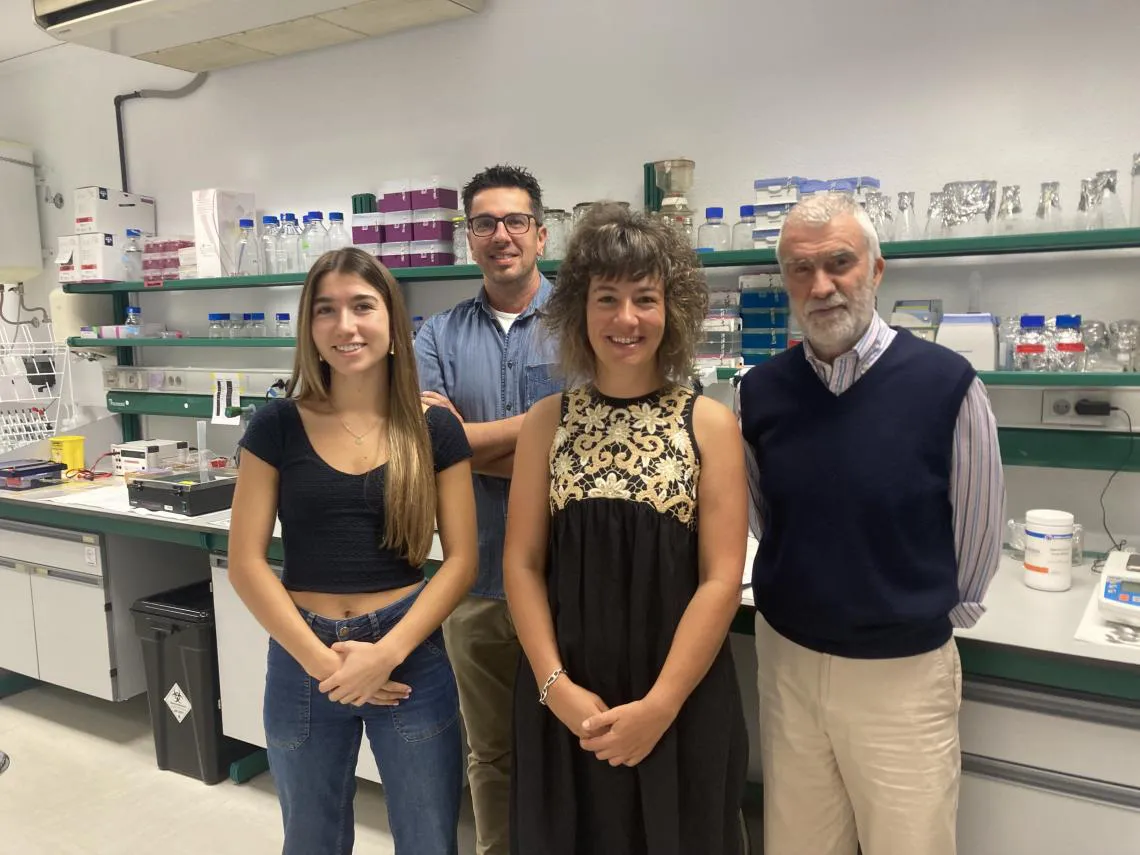 EQUIPO DE INVESTIGACION DE LA ULE