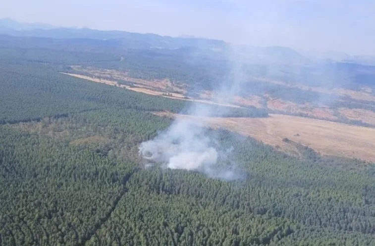 INCENDIO EN LA ERCINA