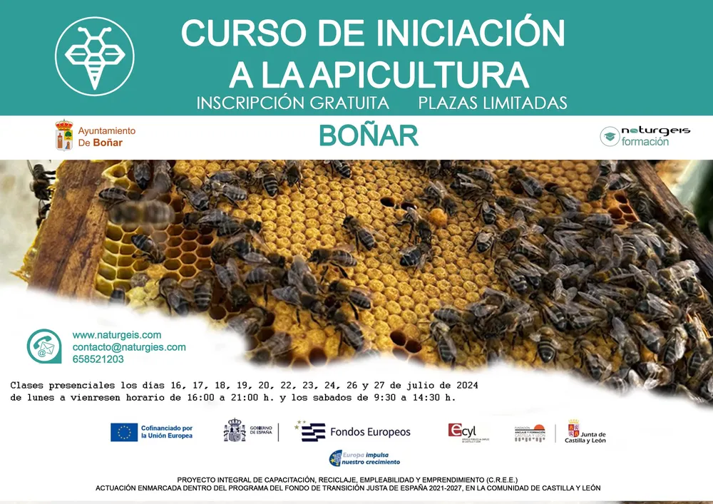 CURSO DE APICULTURA EN BOÑAR