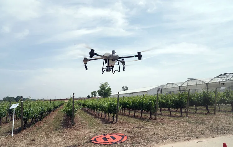 DRON