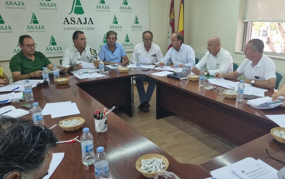 junta directiva 4