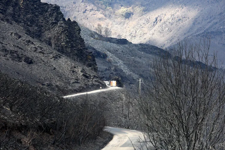 EFECTOS DEL INCENDIO EN OENCIA