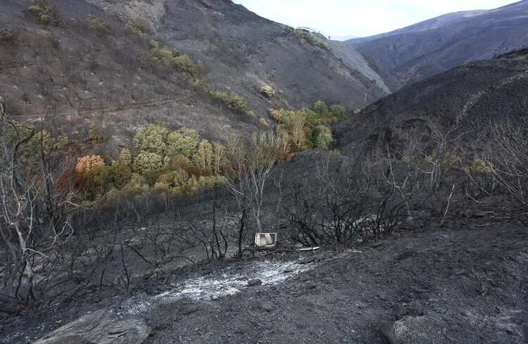 EFECTOS DEL FUEGO EN OENCIA