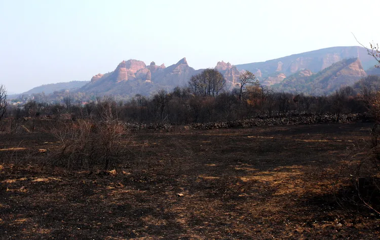 EFECTOS DEL INCENDIO DE YERES