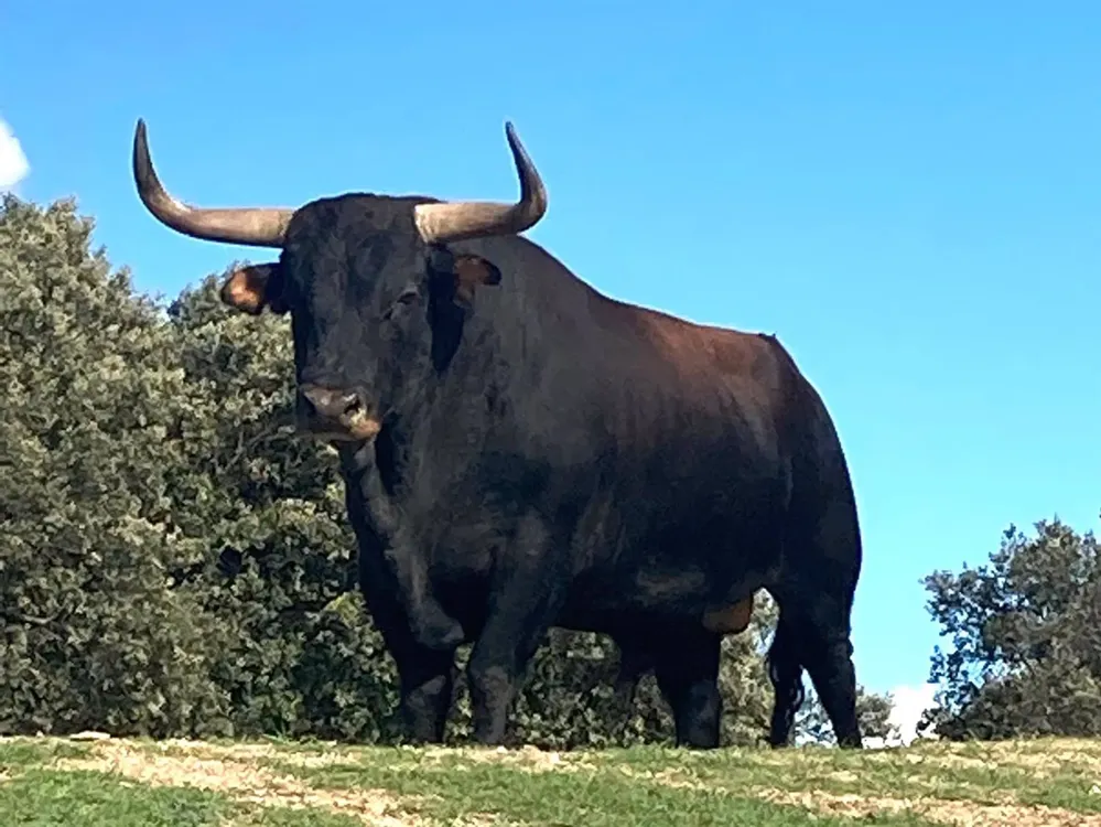 fotonoticia_20230911103932_1920