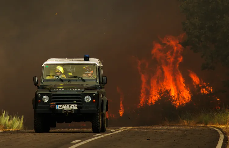 INCENDIO FORESTAL