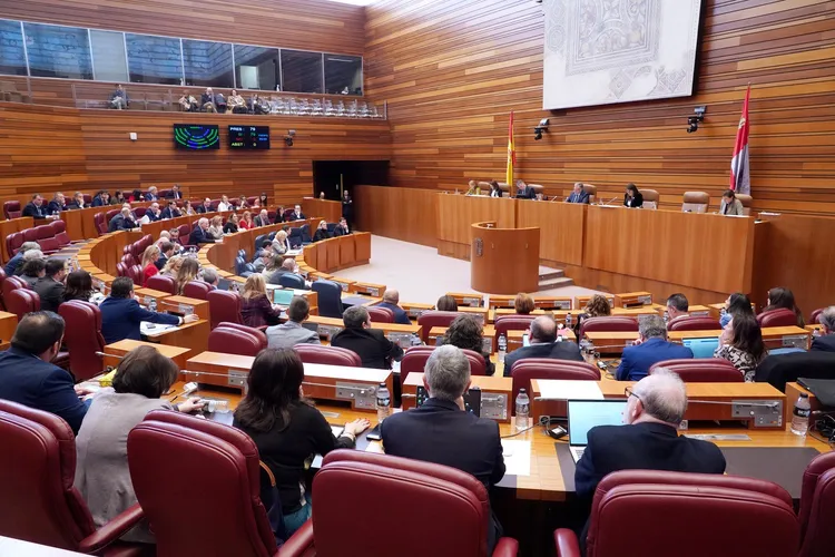 PLENO DE LAS CORTES DE CYL