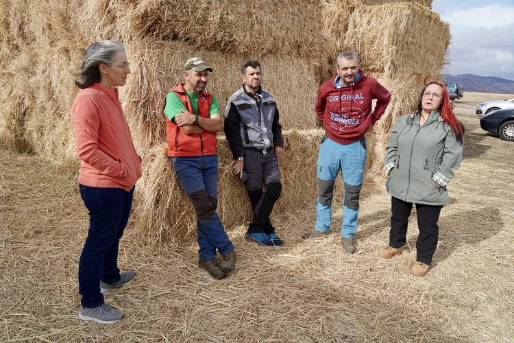 GANADEROS DE OVINO AFECTADOS POR LOS INCENDIOS EN CHANA DE SOMOZA