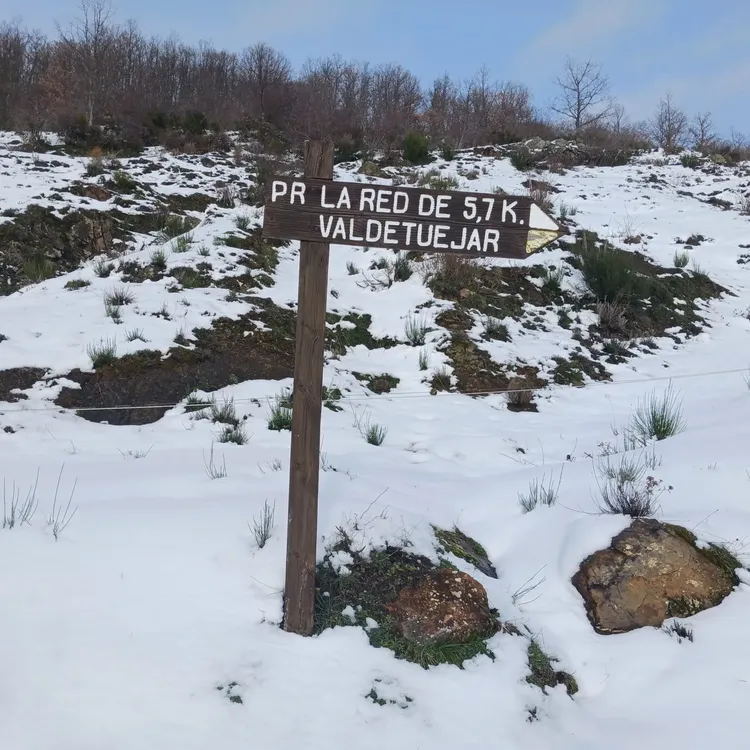 efd5f3c1-9e02-4589-a256-778d94f39241