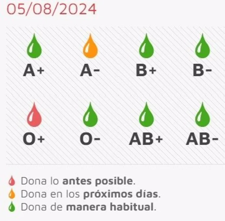 CEMCYL 5 AGOSTO 2024