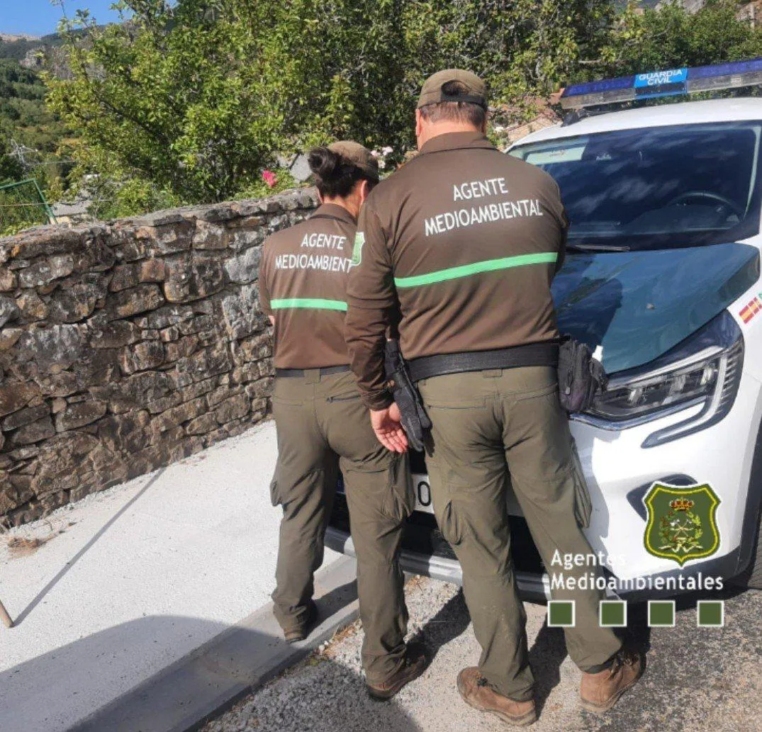 BUSQUEDA ANCIANA EN CARMENES