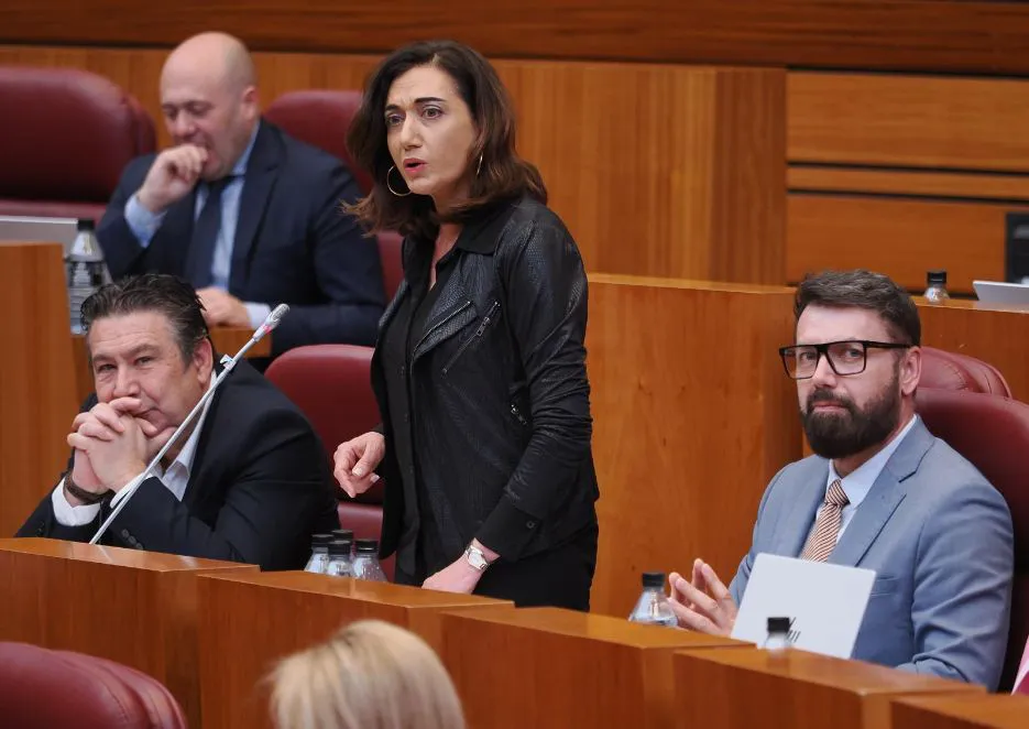 La procuradora de UPL, Alicia Gallego 2