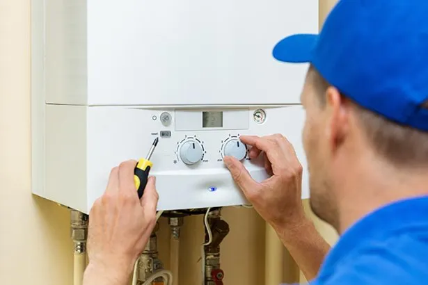 INSPECTORES DEL GAS