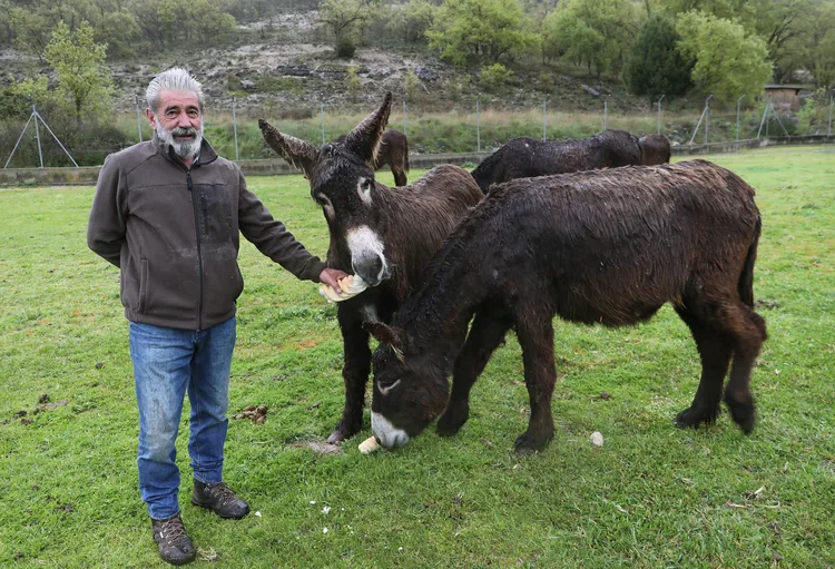 CENTRO DE OCIO LOS CAÑOS Y LUIS CANTERA
