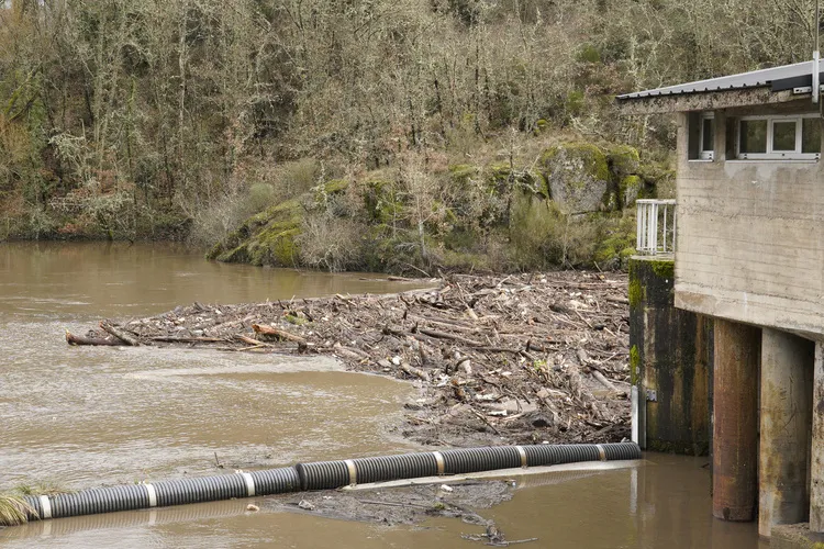 PRESA DE MONTEARENAS