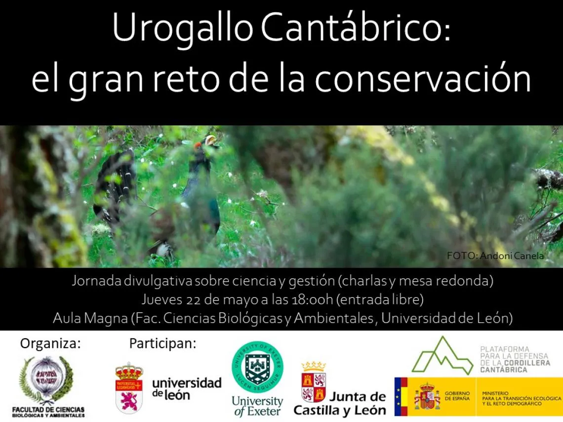 cartel_urogallo