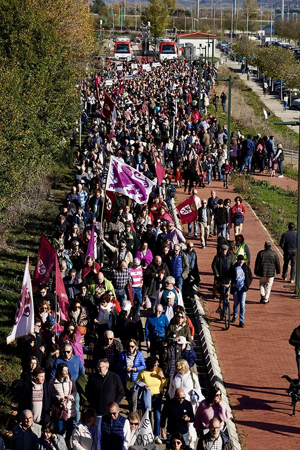MANIFESTACION FEVE EN LEON 17 NOV 24