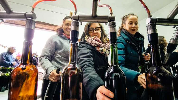 'M' UN VINO HECHO CON UVAS DE 22 MUJERES BERCIANAS