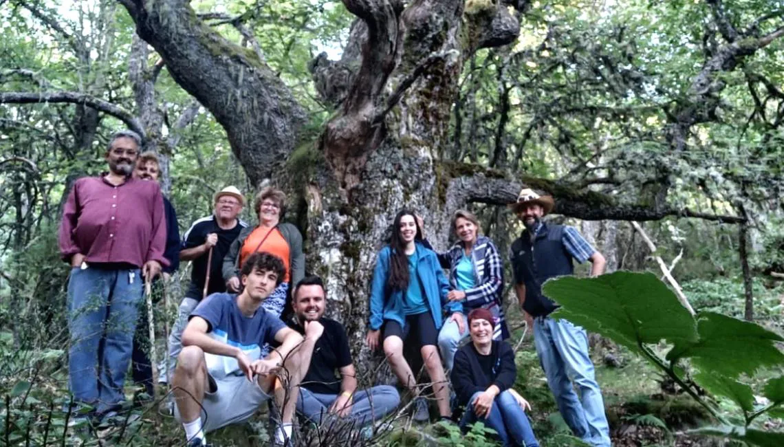 bosque_experiencia_inmersion_en_el_monte_de_los_frailes_la_urz
