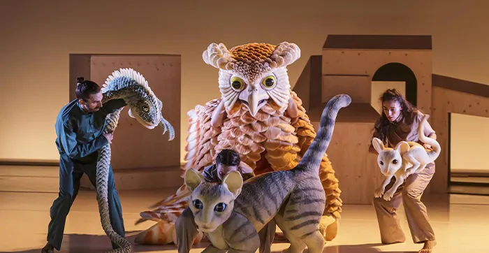 'La gata que quería cambiar la historia del mundo'