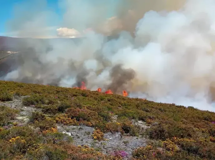 Captura de pantalla 2024-05-11 204126